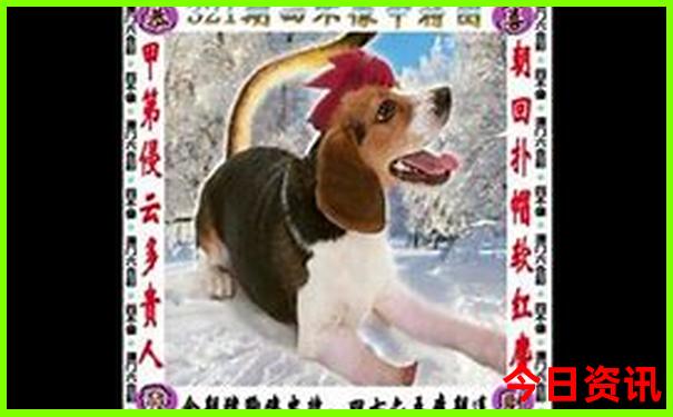 仙岛湖旅游攻略 2日游最佳路线